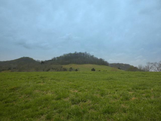2635 Fishing Ford Road Belfast, TN 37019 - Photo 8 of 18 Gallery Image 8