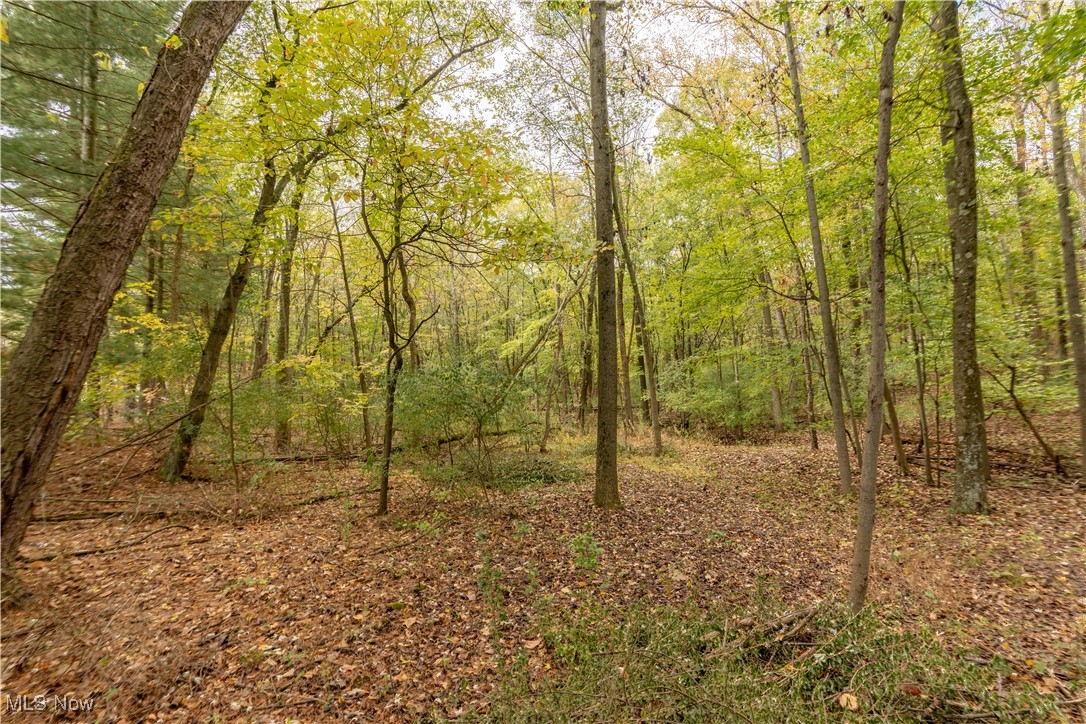 Eberhart Road Northeast Dover, OH 44622 - Photo 5 of 8 Gallery Image 5