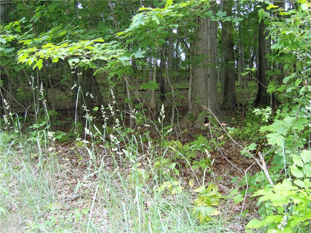 0 Lindley Road Scenery Hill, PA 15360 - Photo 2 of 9 Gallery Image 2