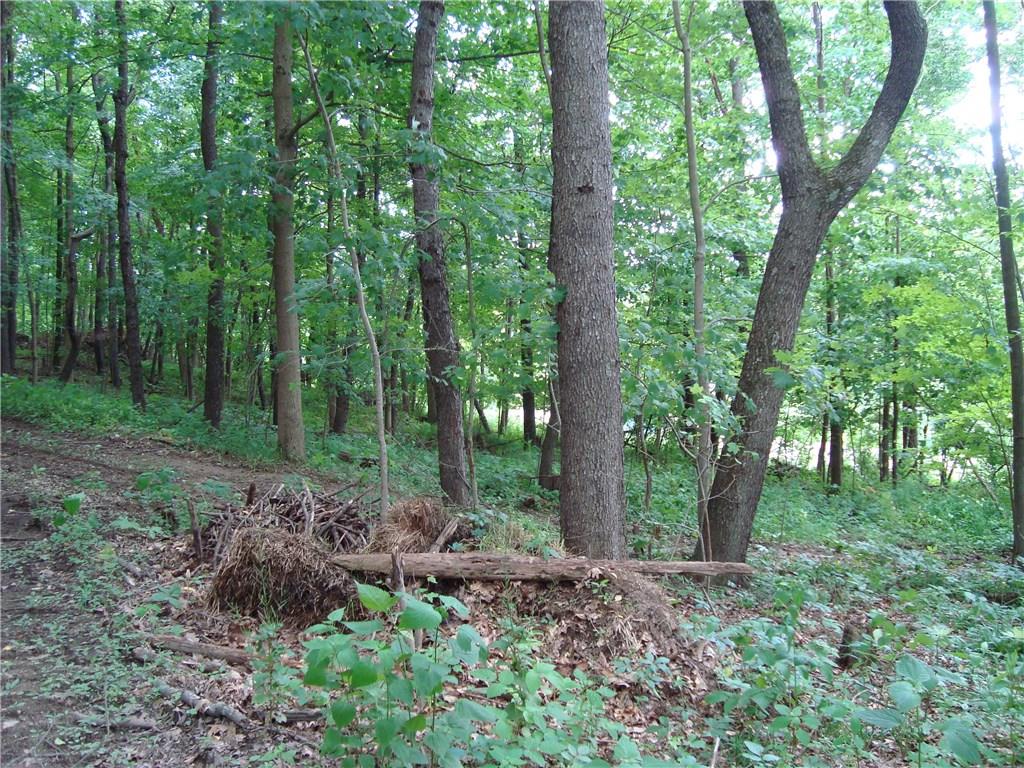 0 Lindley Road Scenery Hill, PA 15360 - Photo 7 of 9 Gallery Image 7
