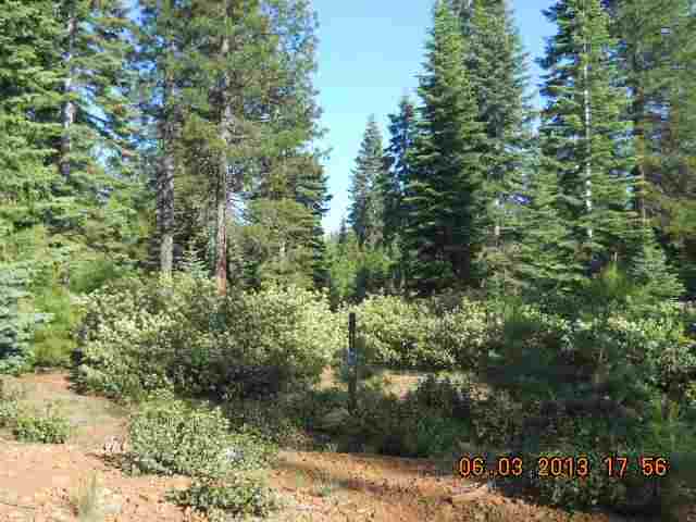 220 Alpine Fir Road Lake Almanor, CA 96137 - Photo 7 of 12 Gallery Image 7