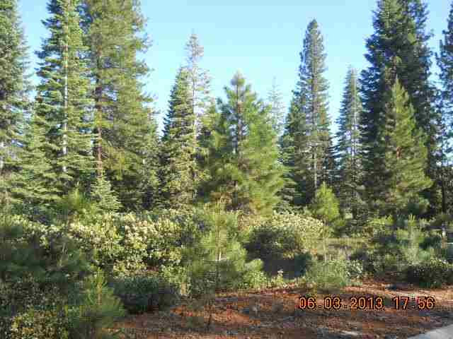 220 Alpine Fir Road Lake Almanor, CA 96137 - Photo 8 of 12 Gallery Image 8