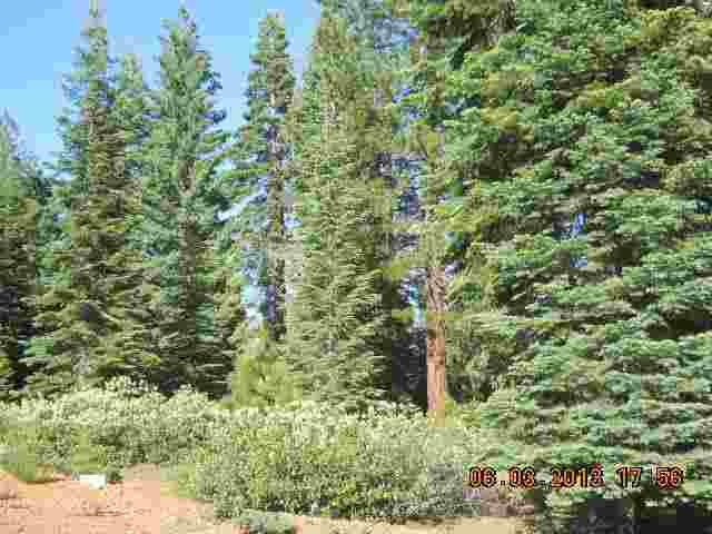 220 Alpine Fir Road Lake Almanor, CA 96137 - Photo 9 of 12 Gallery Image 9