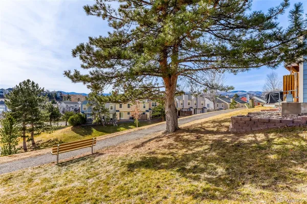 a view of a park with large trees