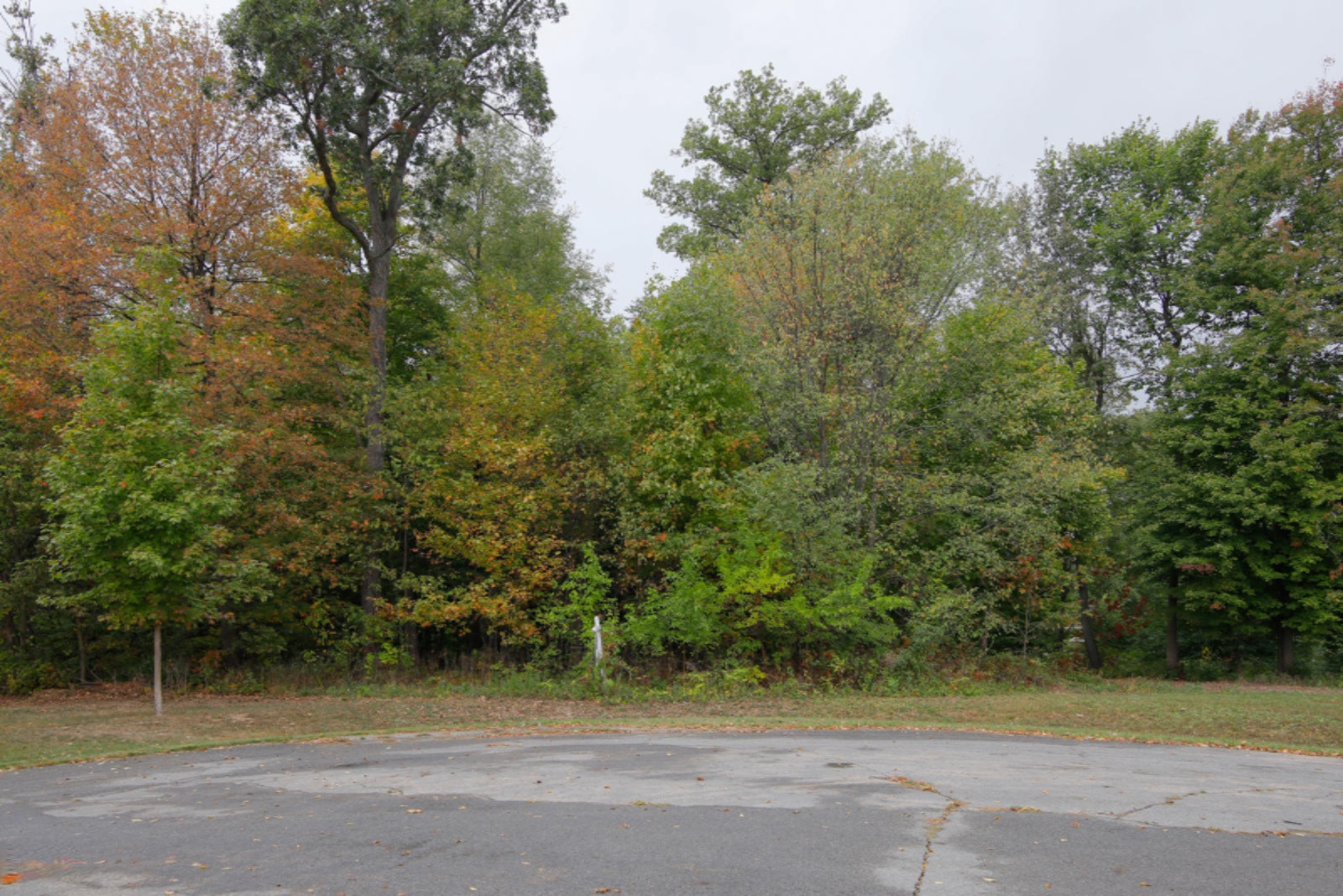 Lot 2 River Shore Drive Three Rivers, MI 49093 - Photo 9 of 10 River Shore Lot 2-104