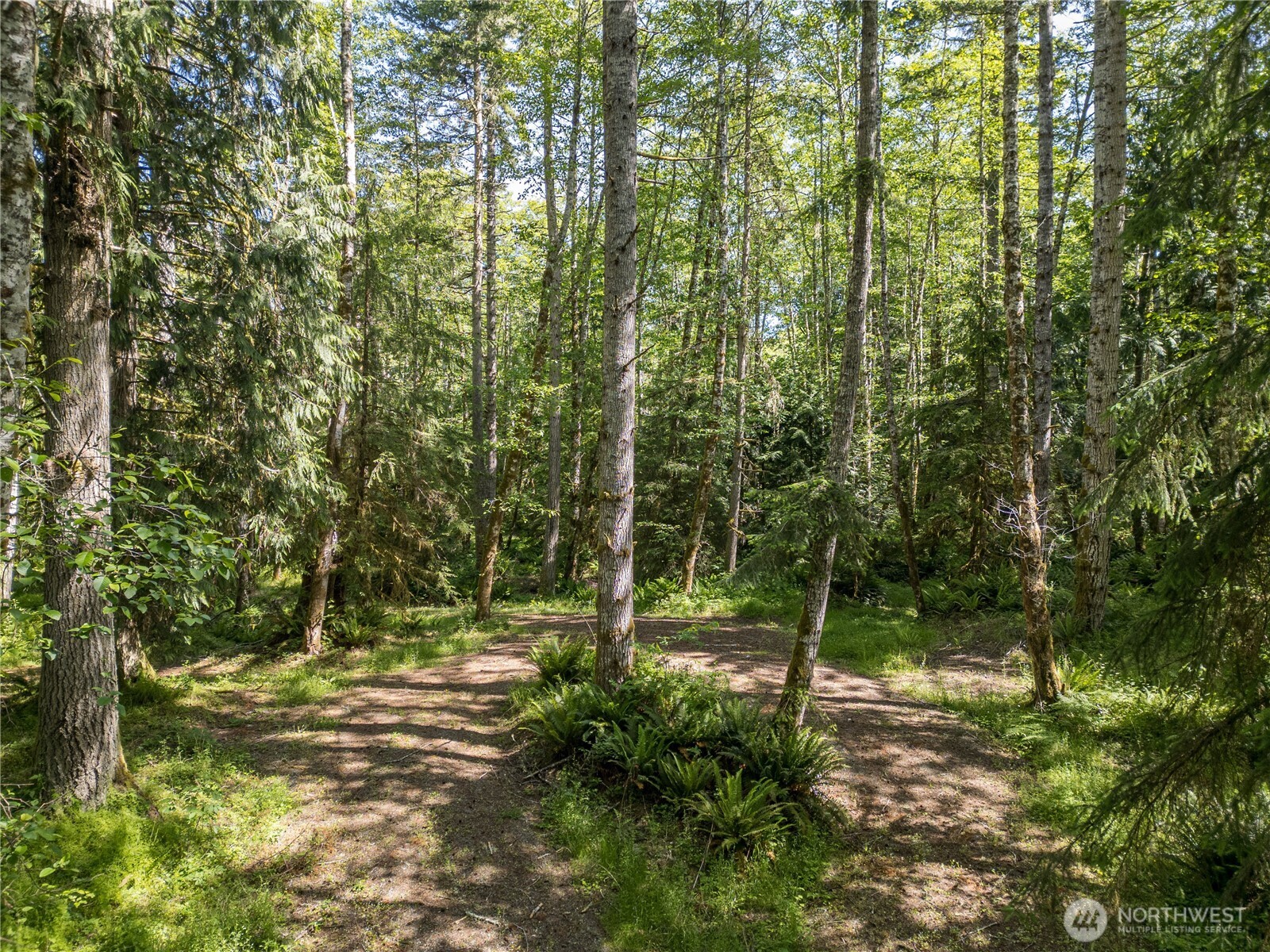 0 Durrwachter Road Port Angeles, WA 98363 - Photo 12 of 33 Gallery Image 12