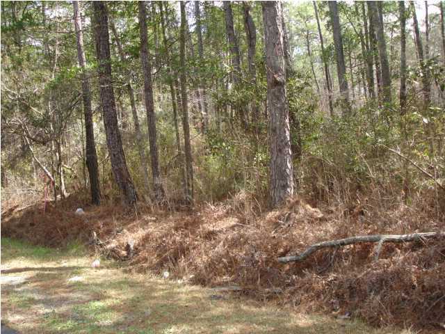 6121 State Rd S-10-2076 Ravenel, SC 29470 - Photo 3 of 3 Additional Photo