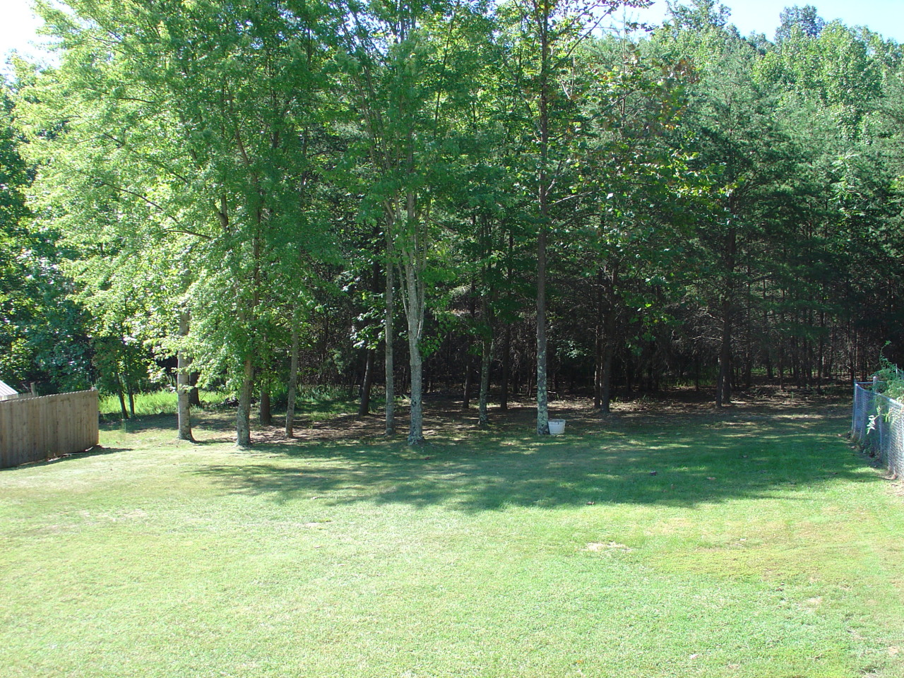 715 Estates Road Southeast Roanoke, VA 24014 - Photo 16 of 16 Another View Of The Back Yard