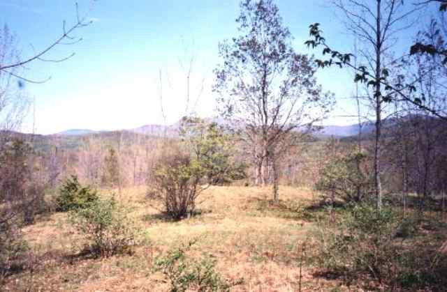 22 Off Of State Route Salem, NY 12865 - Photo 2 of 3 Photo 2