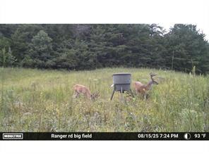 7596 Red Bud Road Northeast Ranger, GA 30734 - Photo 26 of 30