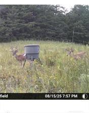 7596 Red Bud Road Northeast Ranger, GA 30734 - Photo 27 of 30