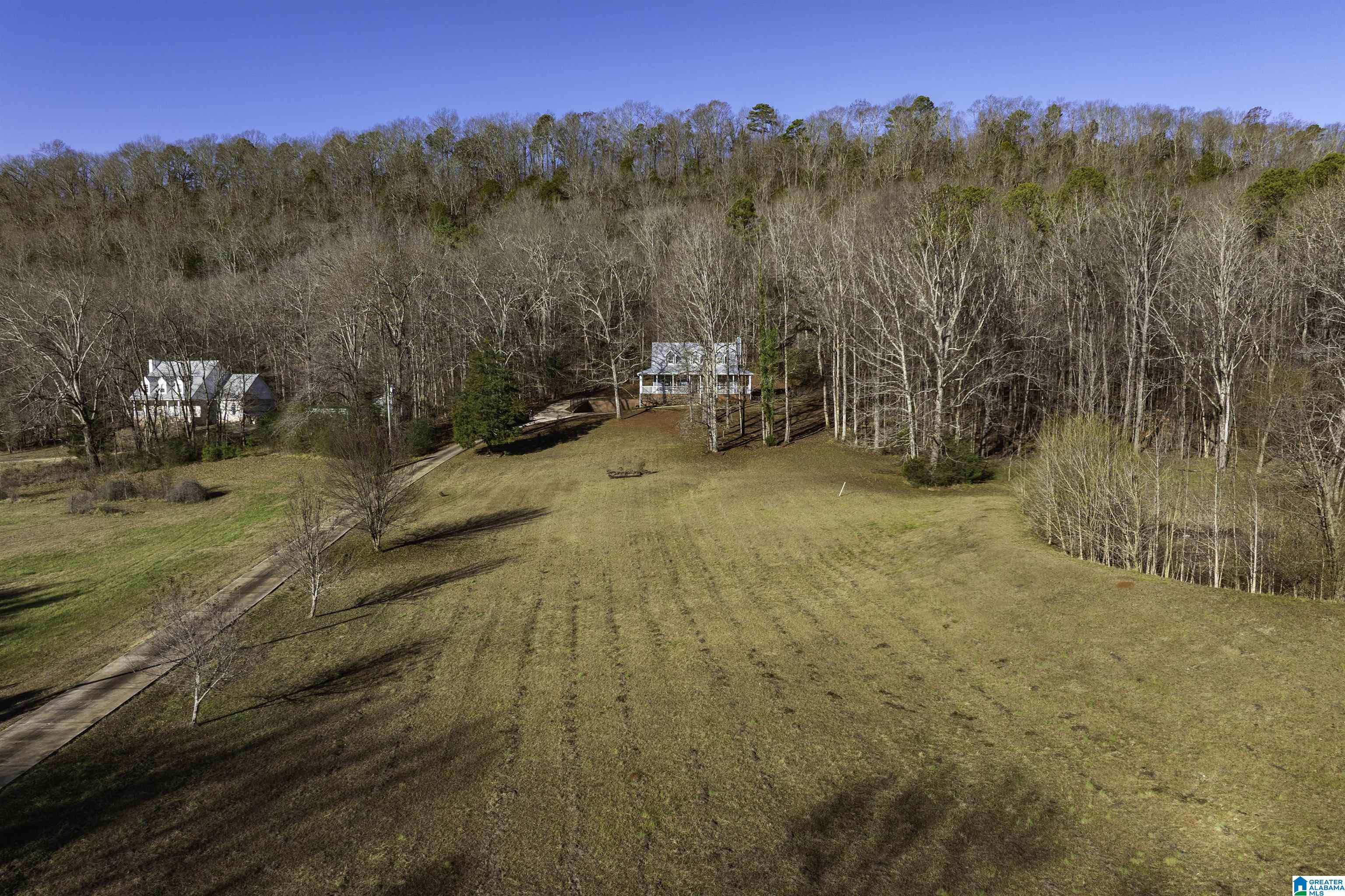 1775 Red Valley Road Remlap, AL 35133 - Photo 6 of 56