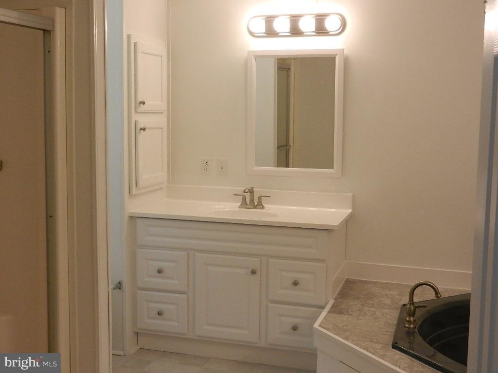 22431 Cross Road Chestertown, MD 21620 - Photo 22 of 24 Separate vanities in master bath