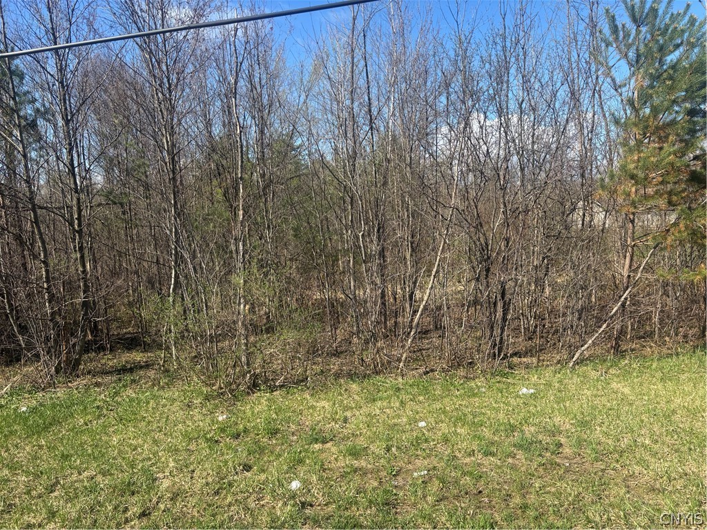 New London Road Rome, NY 13440 - Photo 3 of 3
