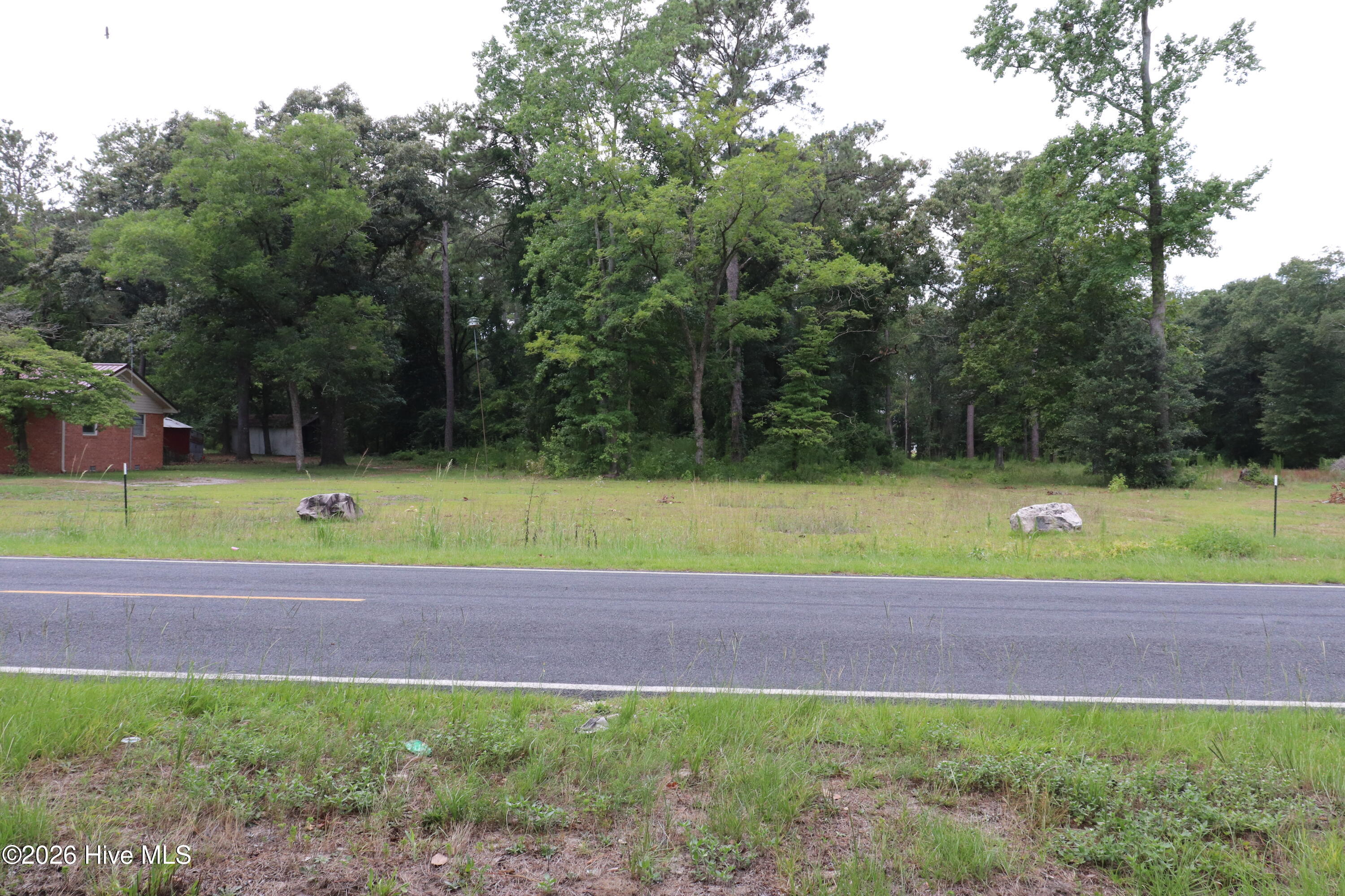 Tbd Hayne Stretch Road Roseboro, NC 28382 - Photo 3 of 31