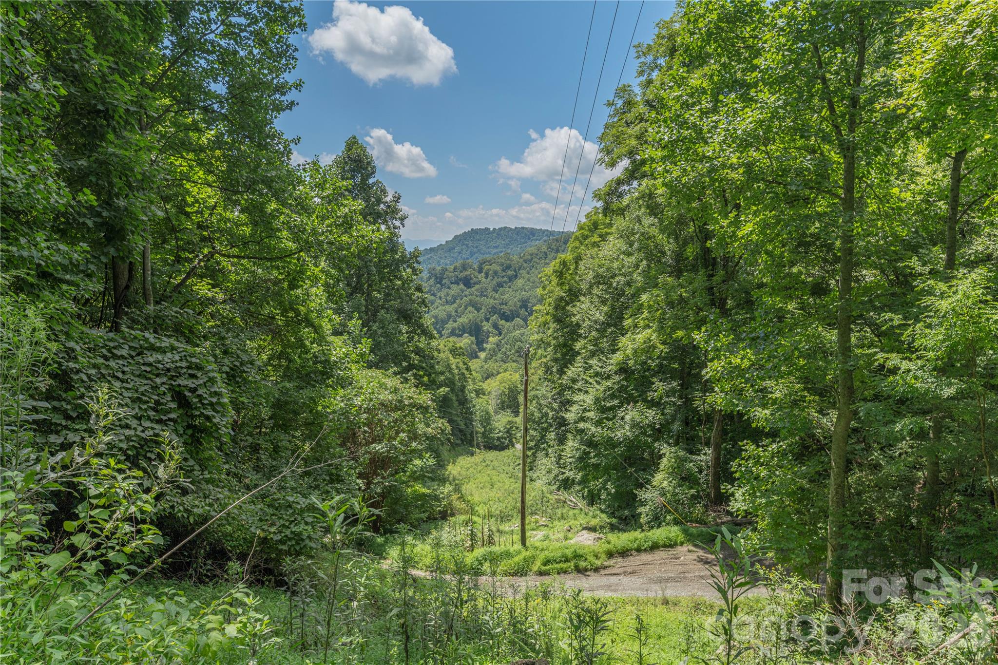 99999 Rabbit Run Marshall, NC 28753 - Photo 17 of 20 Gallery Image 17