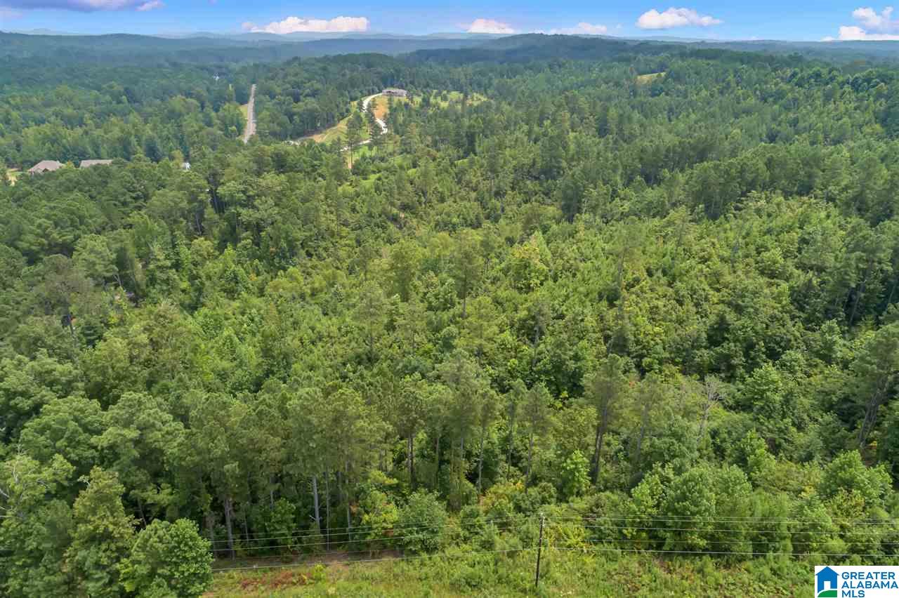 4472 Mountain View Road Odenville, AL 35120 - Photo 9 of 9
