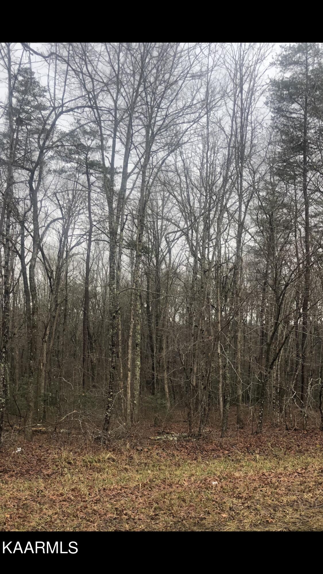 Taylor Road Pikeville, TN 37367 - Photo 1 of 2 DE01BD0E-2ED4-4017-B701-0C113E13510A