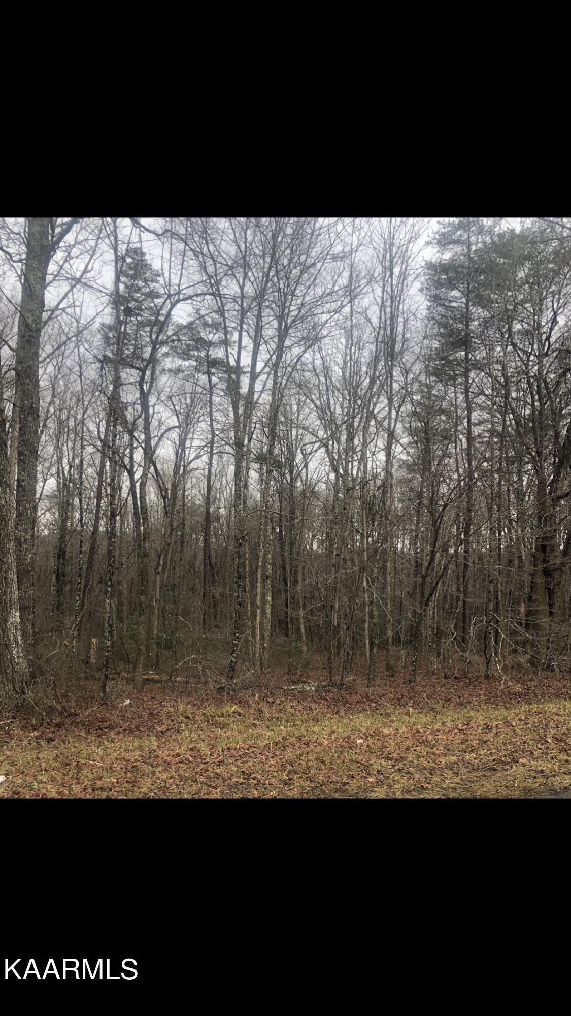 Taylor Road Pikeville, TN 37367 - Photo 2 of 2 A0E8BF27-7921-4F20-B0F7-31D5C0061EC1
