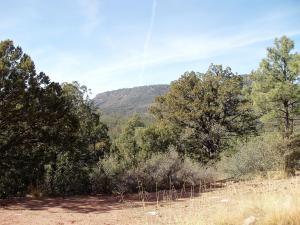 17033 Control Road Payson, AZ 85541 - Photo 4 of 28