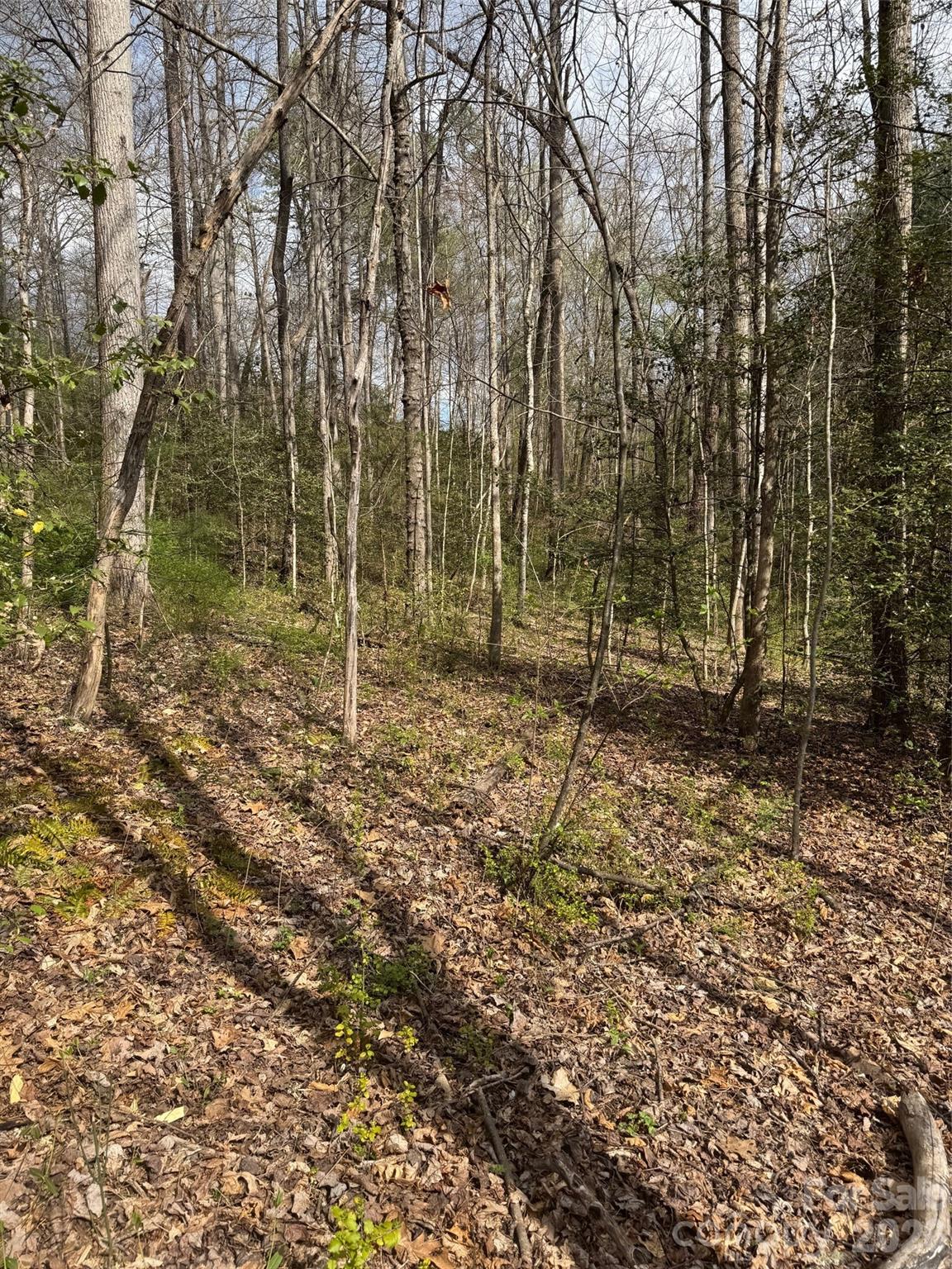 315 North River Road Sylva, NC 28779 - Photo 12 of 42