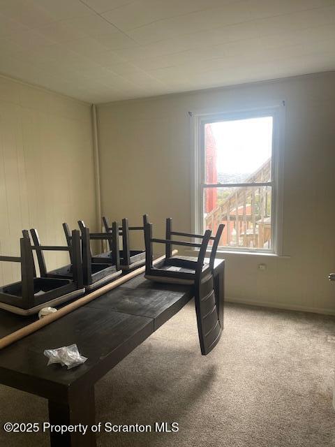 217 South Main Avenue Scranton, PA 18504 - Photo 6 of 11 a view of a room with gym equipment