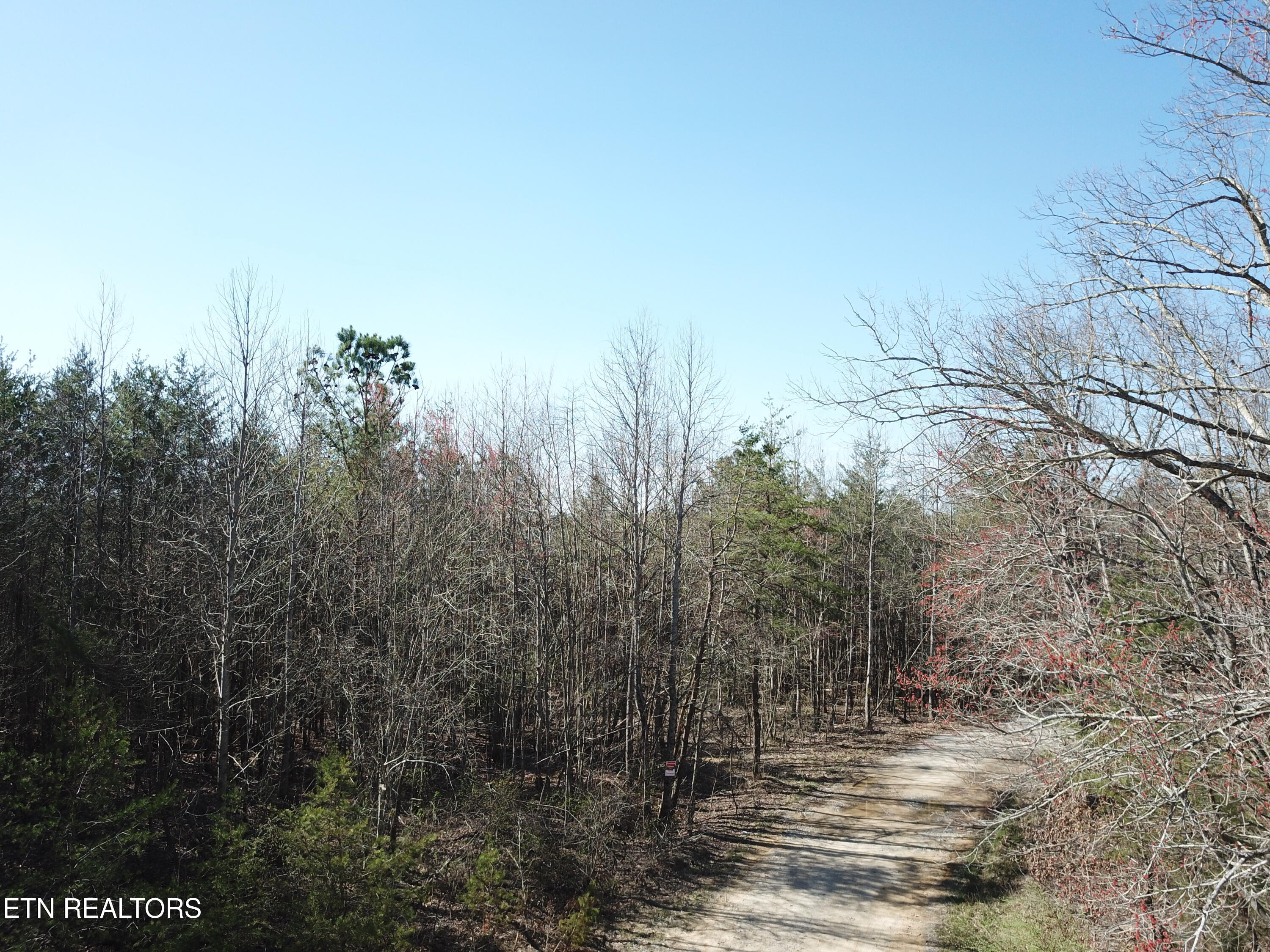 Buckridge Road Crossville, TN 38572 - Photo 24 of 26 DJI_0091