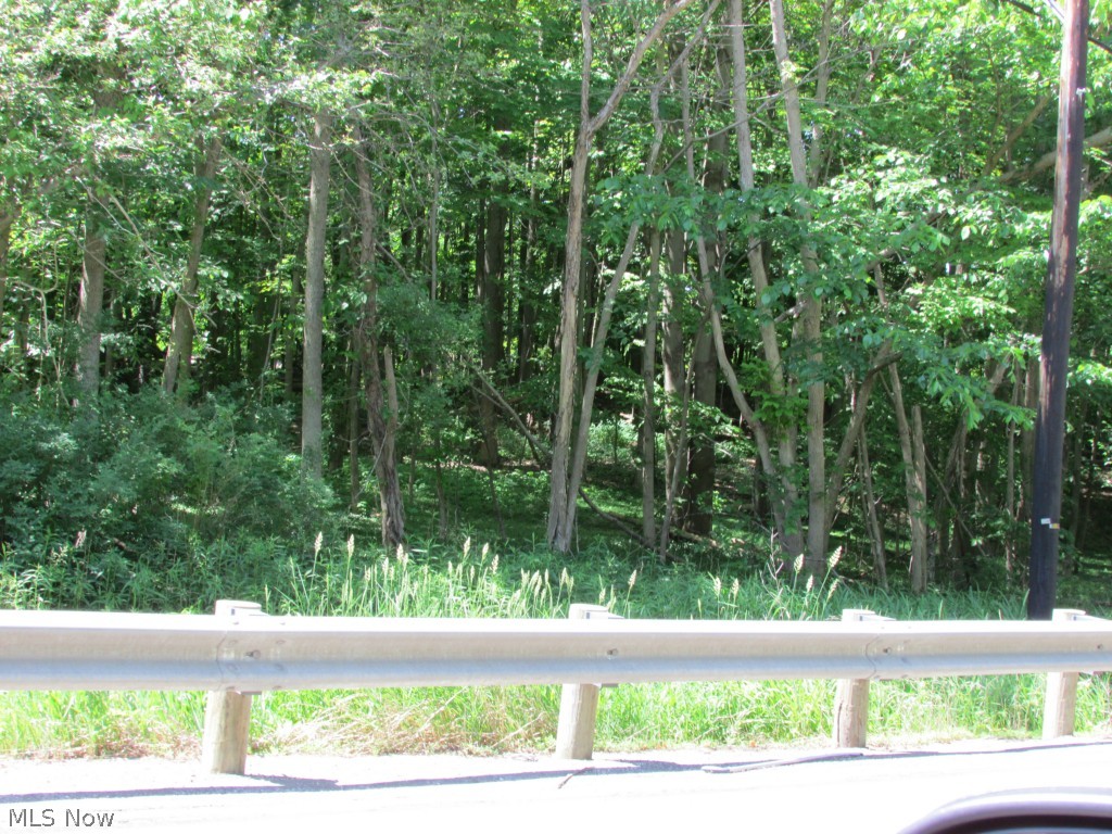 13553 Mayfield Road Chardon, OH 44024 - Photo 20 of 27 Gallery Image 20