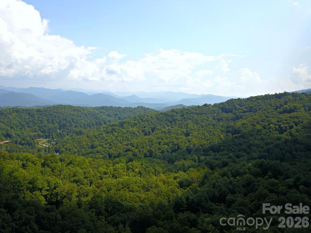 0 Mountain Forest Estate Road Sylva, NC 28779 - Photo 1 of 26