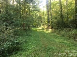 0 Mountain Forest Estate Road Sylva, NC 28779 - Photo 13 of 26