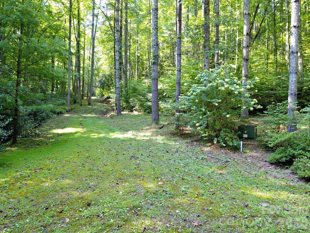 0 Mountain Forest Estate Road Sylva, NC 28779 - Photo 14 of 26