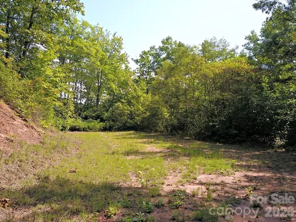 $1,295,000 | 0 Mountain Forest Estate Road, Sylva, NC 28779