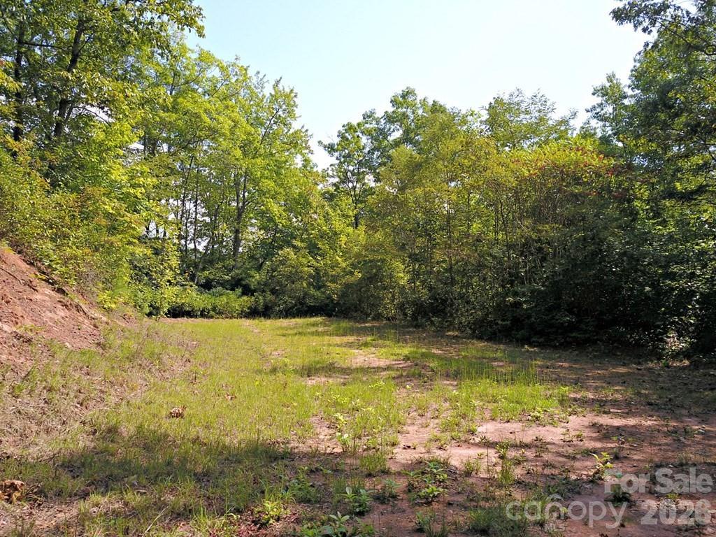 0 Mountain Forest Estate Road Sylva, NC 28779 - Photo 17 of 26