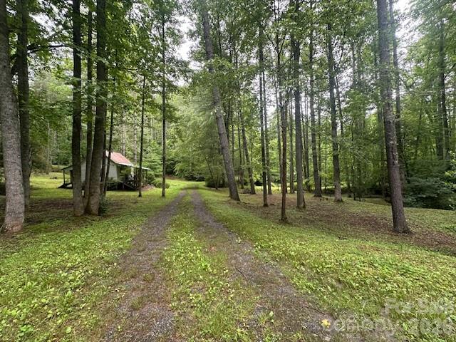 0 Mountain Forest Estate Road Sylva, NC 28779 - Photo 22 of 26