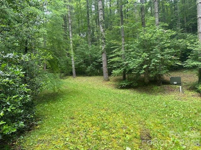 0 Mountain Forest Estate Road Sylva, NC 28779 - Photo 24 of 26