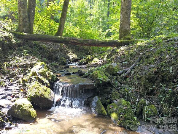 $1,295,000 | 0 Mountain Forest Estate Road, Sylva, NC 28779