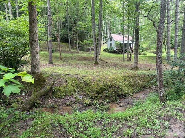 0 Mountain Forest Estate Road Sylva, NC 28779 - Photo 4 of 26