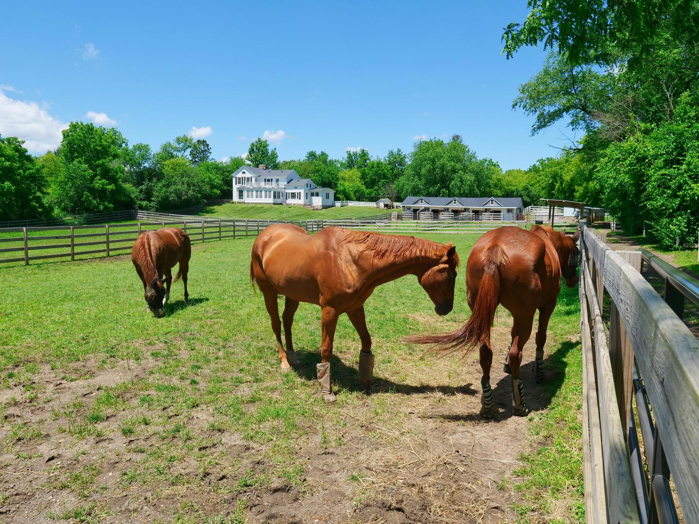 708 South Rose Farm Road Woodstock, IL 60098 - Photo 101 of 104