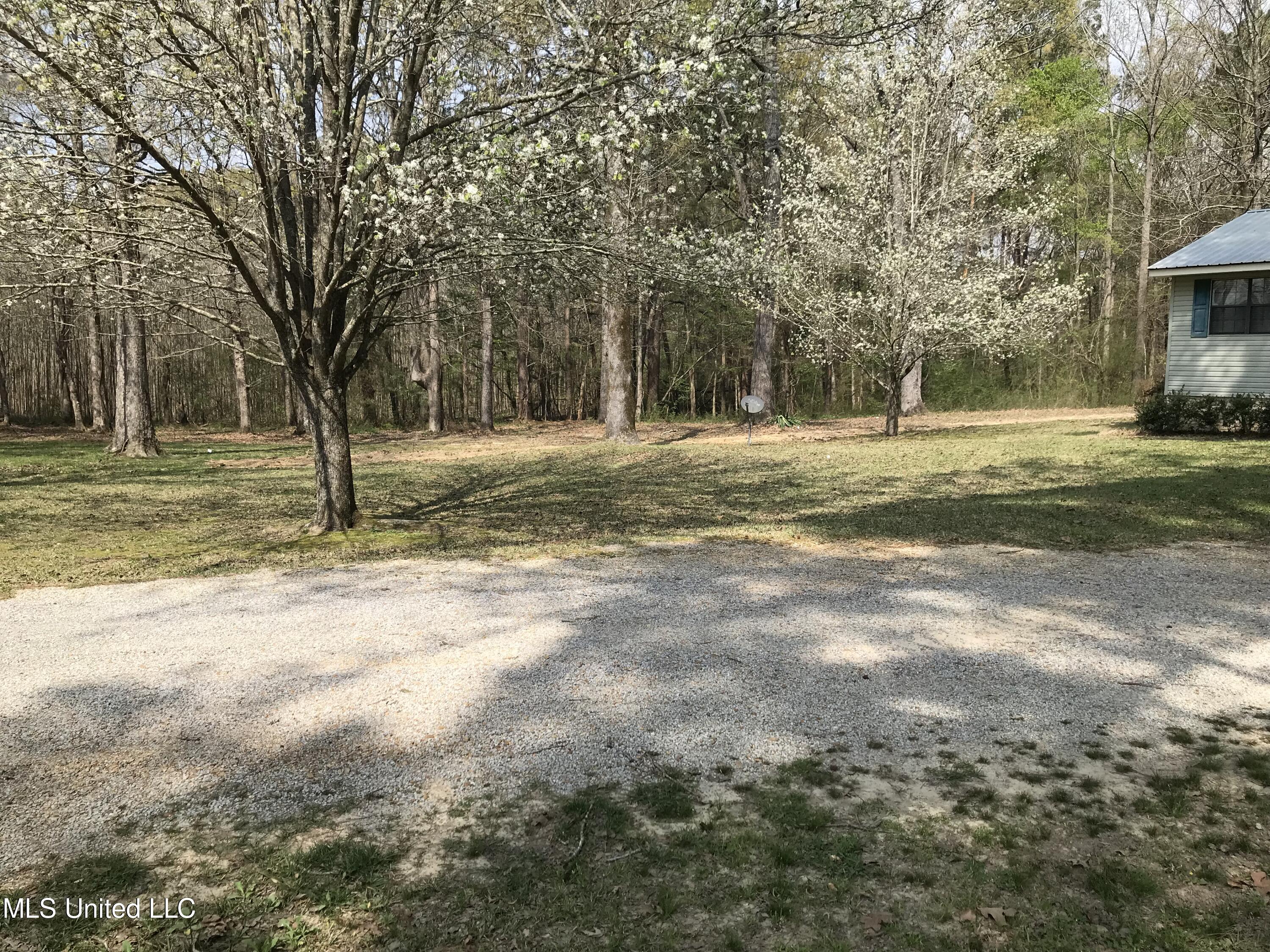 170 Wire Road Pelahatchie, MS 39145 - Photo 6 of 17 IMG-0554