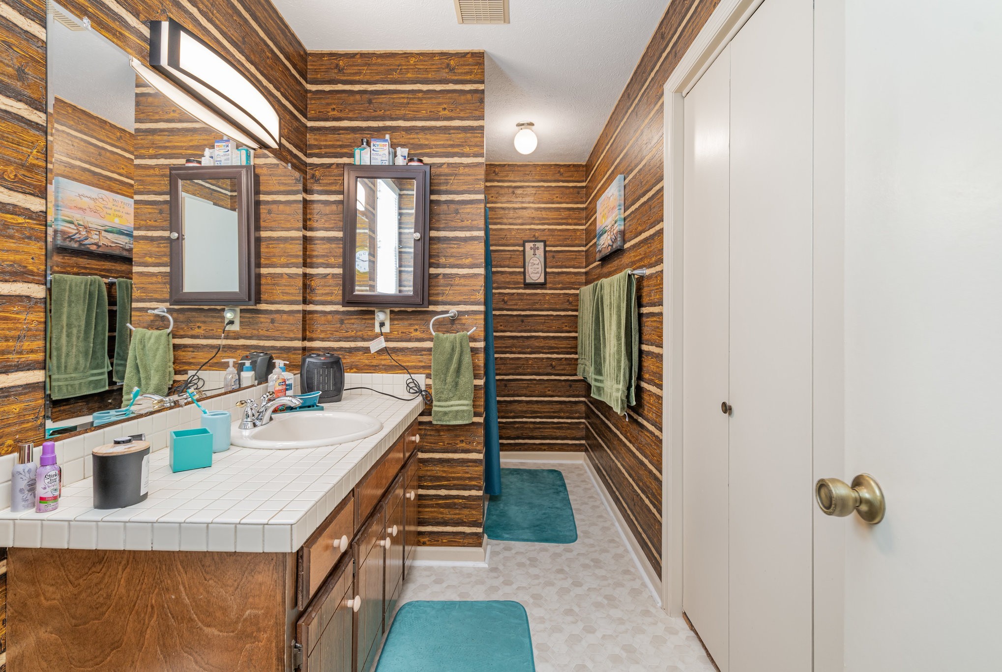 8049 New Chapel Road Springfield, TN 37172 - Photo 13 of 20 a bathroom with a sink a mirror and shower