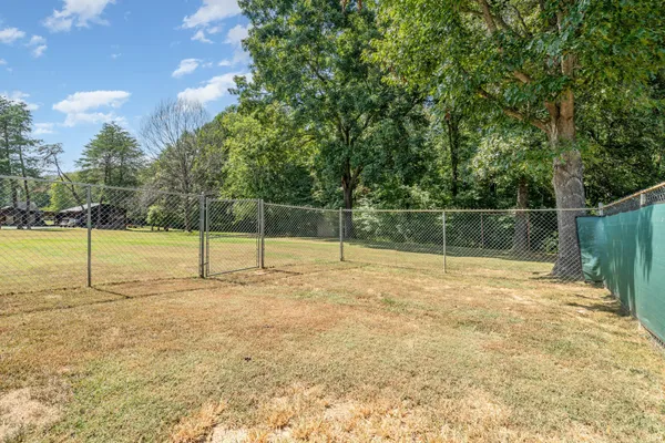 a view of a yard with a trees
