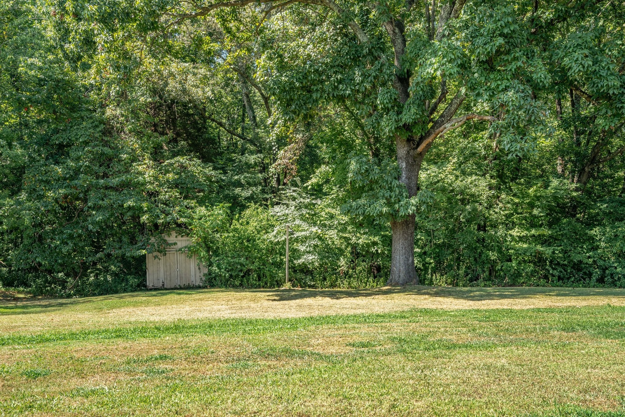 8049 New Chapel Road Springfield, TN 37172 - Photo 19 of 20 a view of a yard with a trees