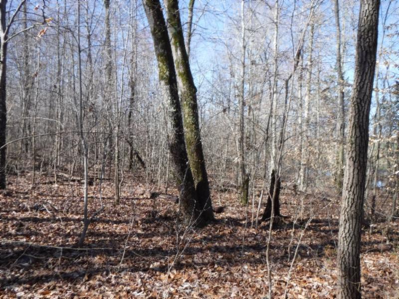 17.98 Pin Hook Road Sparta, TN 38583 - Photo 20 of 33 02262018 146