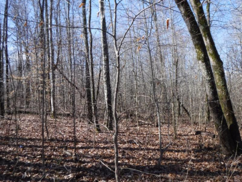 17.98 Pin Hook Road Sparta, TN 38583 - Photo 21 of 33 02262018 147