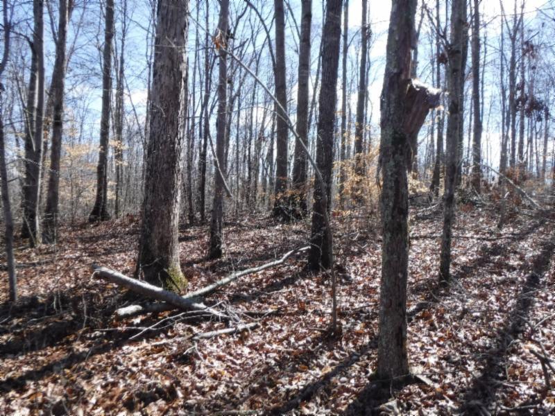 17.98 Pin Hook Road Sparta, TN 38583 - Photo 22 of 33 02262018 148