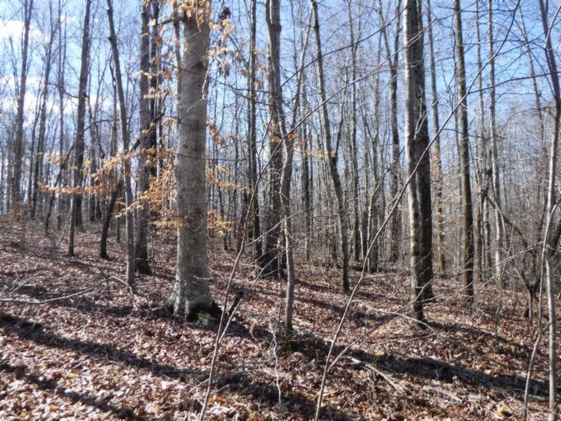 17.98 Pin Hook Road Sparta, TN 38583 - Photo 23 of 33 02262018 150