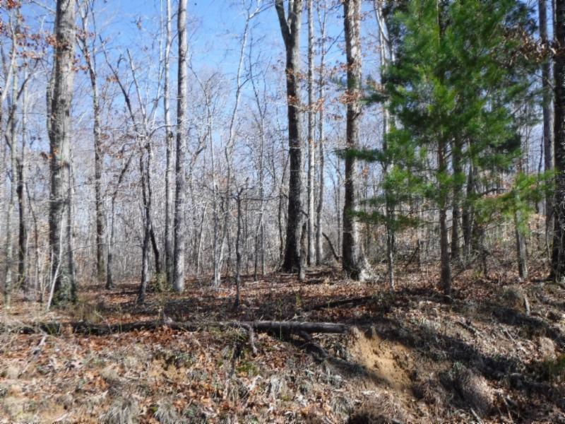 17.98 Pin Hook Road Sparta, TN 38583 - Photo 26 of 33 02262018 153