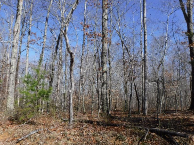 17.98 Pin Hook Road Sparta, TN 38583 - Photo 27 of 33 02262018 154