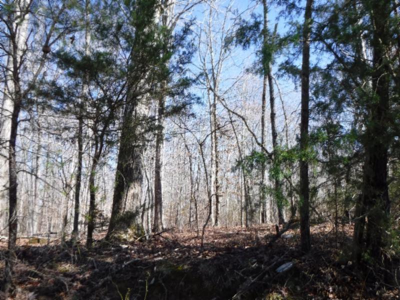 17.98 Pin Hook Road Sparta, TN 38583 - Photo 29 of 33 02262018 156