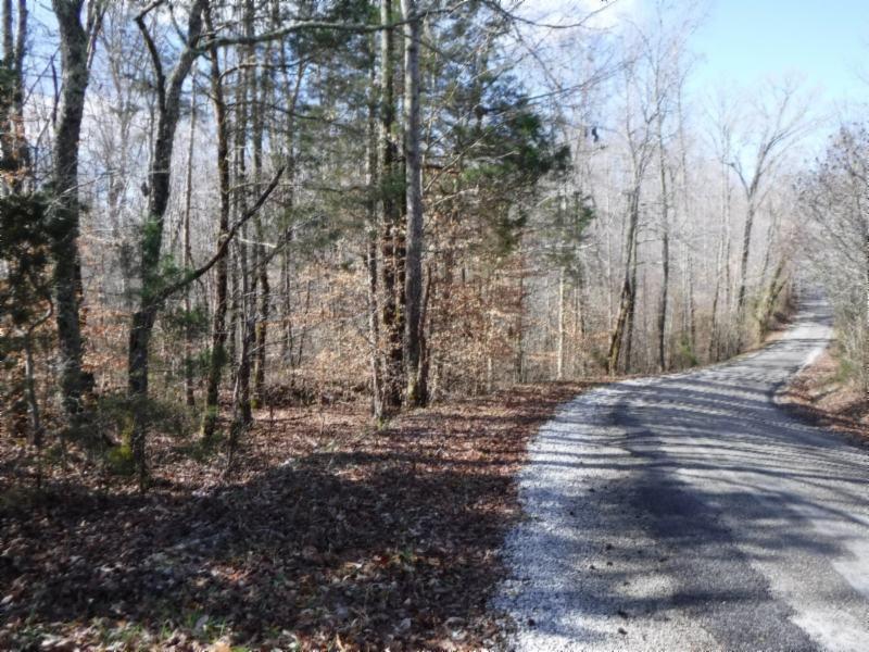 17.98 Pin Hook Road Sparta, TN 38583 - Photo 4 of 33 02262018 128